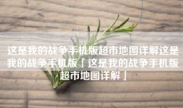 这是我的战争手机版超市地图详解这是我的战争手机版「这是我的战争手机版超市地图详解」