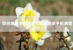 如何查杀手机病毒（如何查杀手机病毒软件）