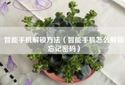 智能手机解锁方法（智能手机怎么解锁忘记密码）