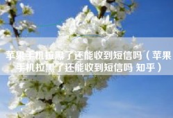 苹果手机拉黑了还能收到短信吗（苹果手机拉黑了还能收到短信吗 知乎）