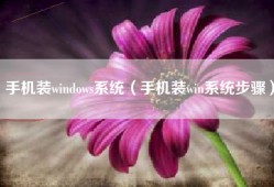 手机装windows系统（手机装win系统步骤）