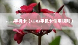 cdma手机卡（CDMA手机卡使用规则）