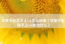 苹果手机连不上wifi怎么回事（苹果手机连不上wifi是为什么）