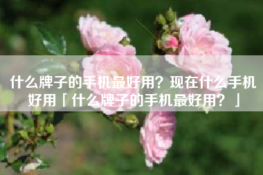 什么牌子的手机最好用？现在什么手机好用「什么牌子的手机最好用？」